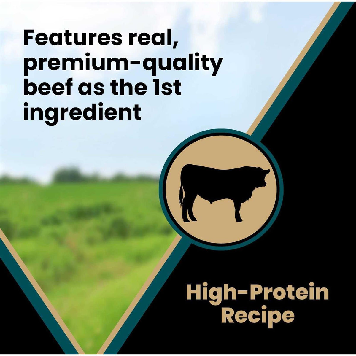 Tender Beef Recipe Training Dog Treats B972252