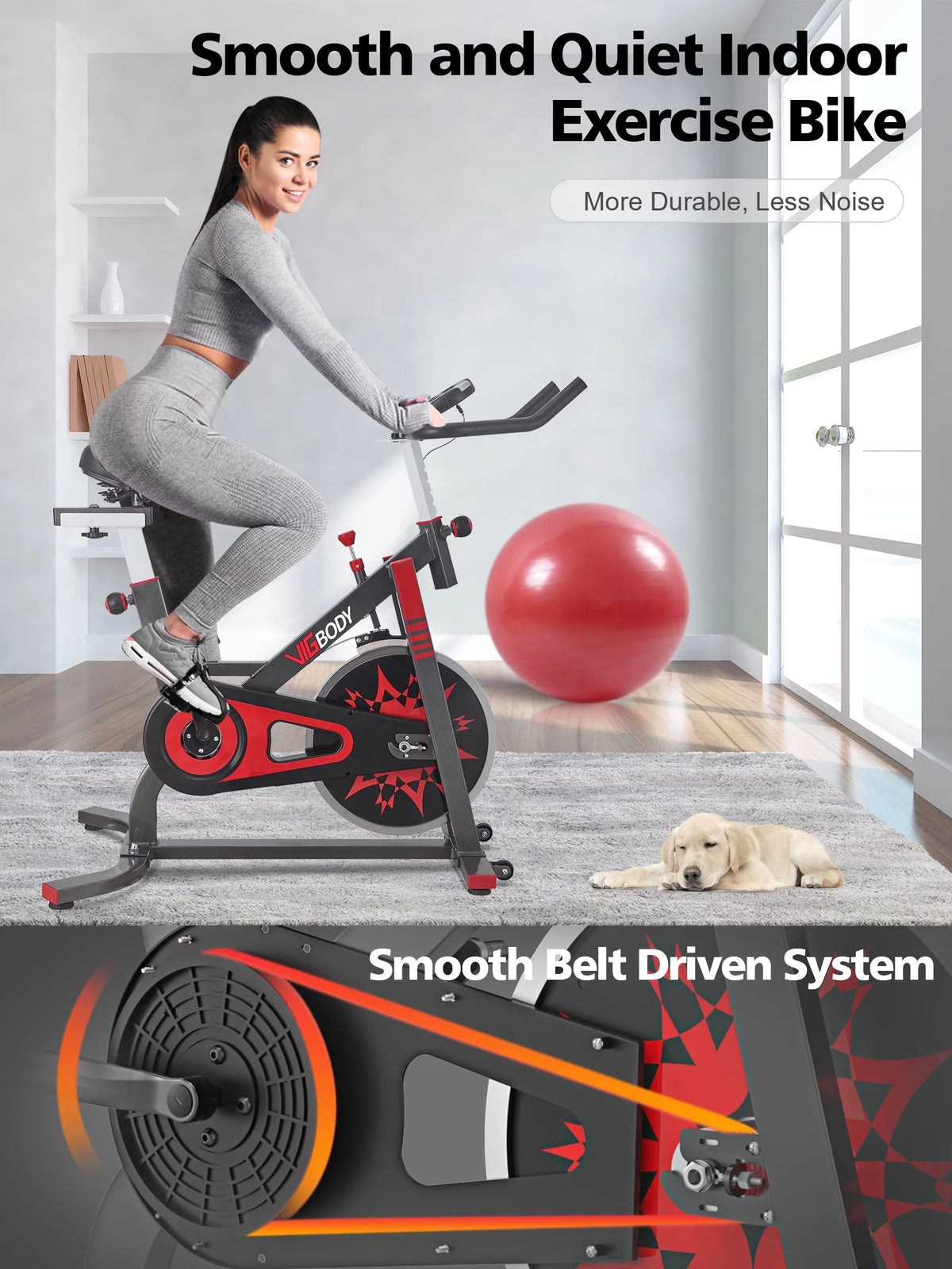 Exercise Bike 330lbs Weight B372262