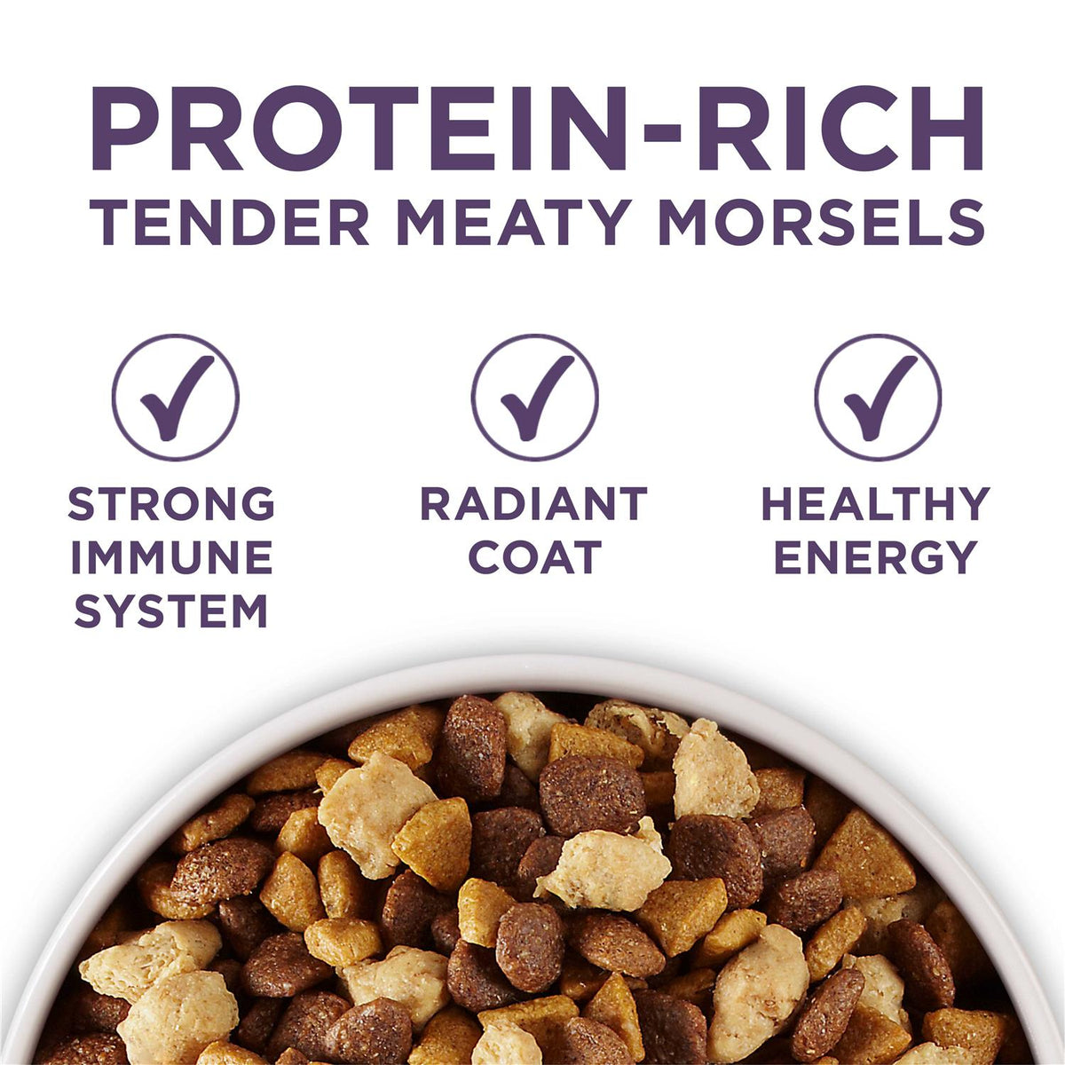 Adult Dry Dog Food Senior G488165