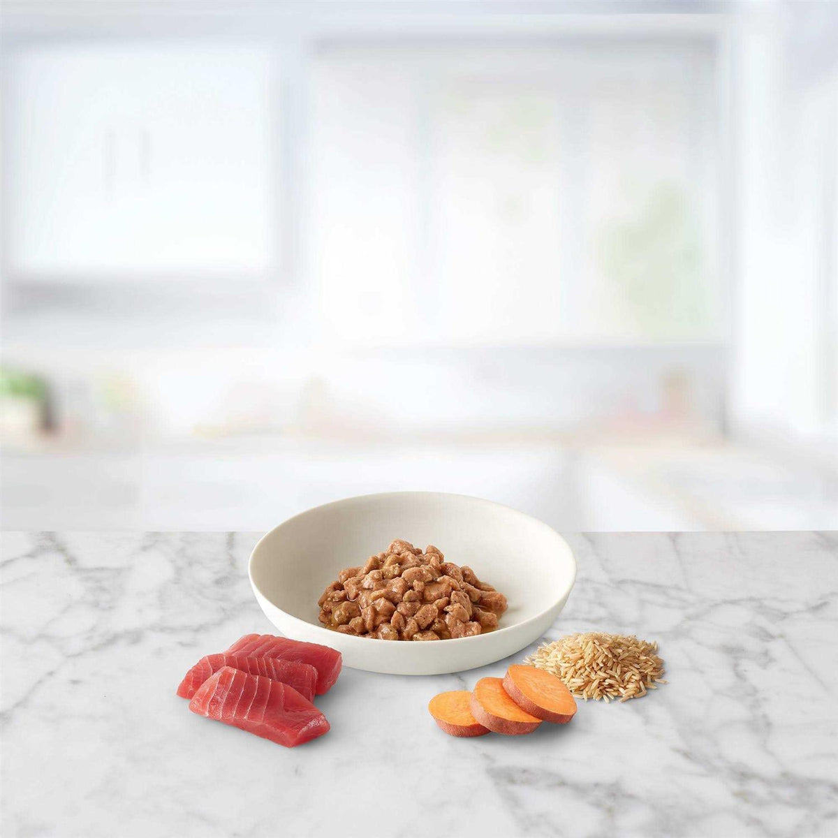 Wet Cat Food O259203
