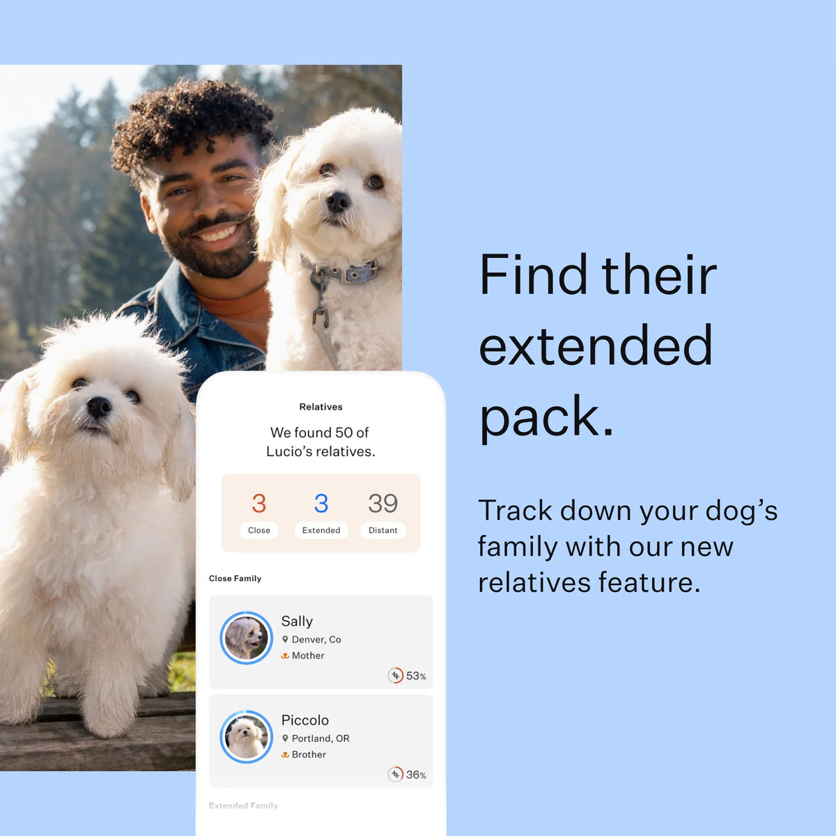 Dog Breed Discovery DNA Test Kit L522978