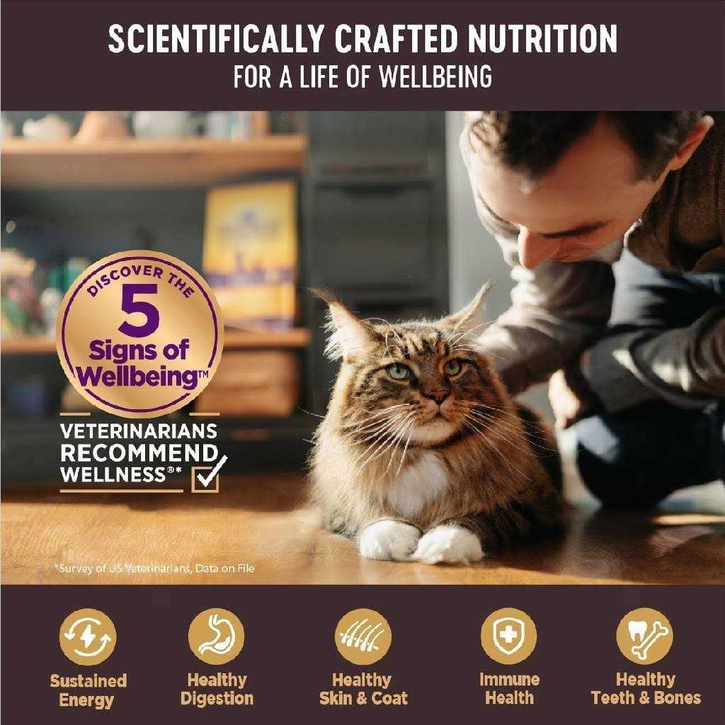 Flaked Wet Cat Food C50333