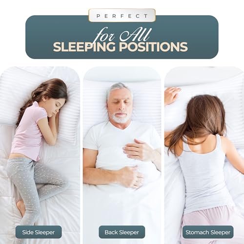 King Size White Set of 2 Bed Pillows T452