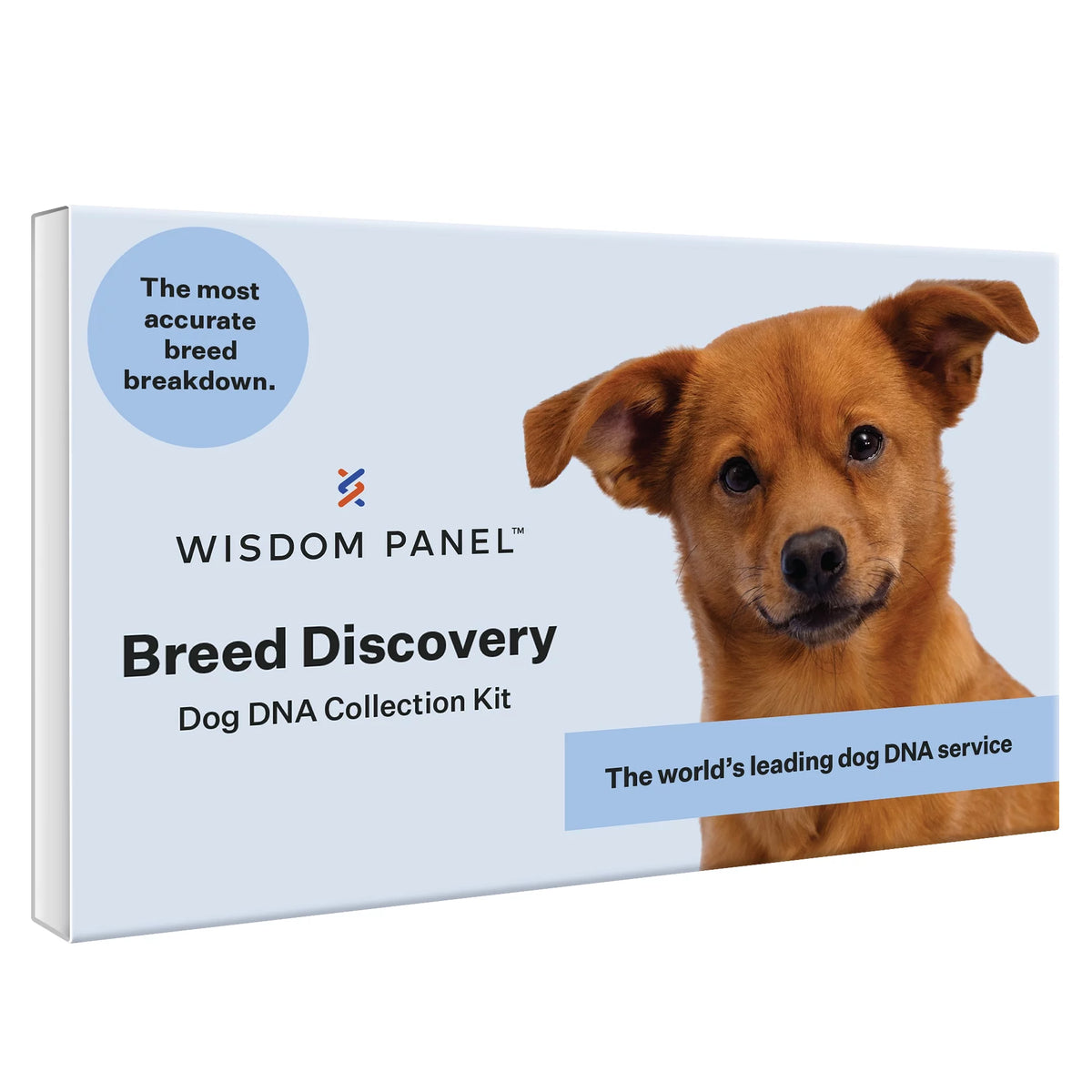 Dog Breed Discovery DNA Test Kit L522978