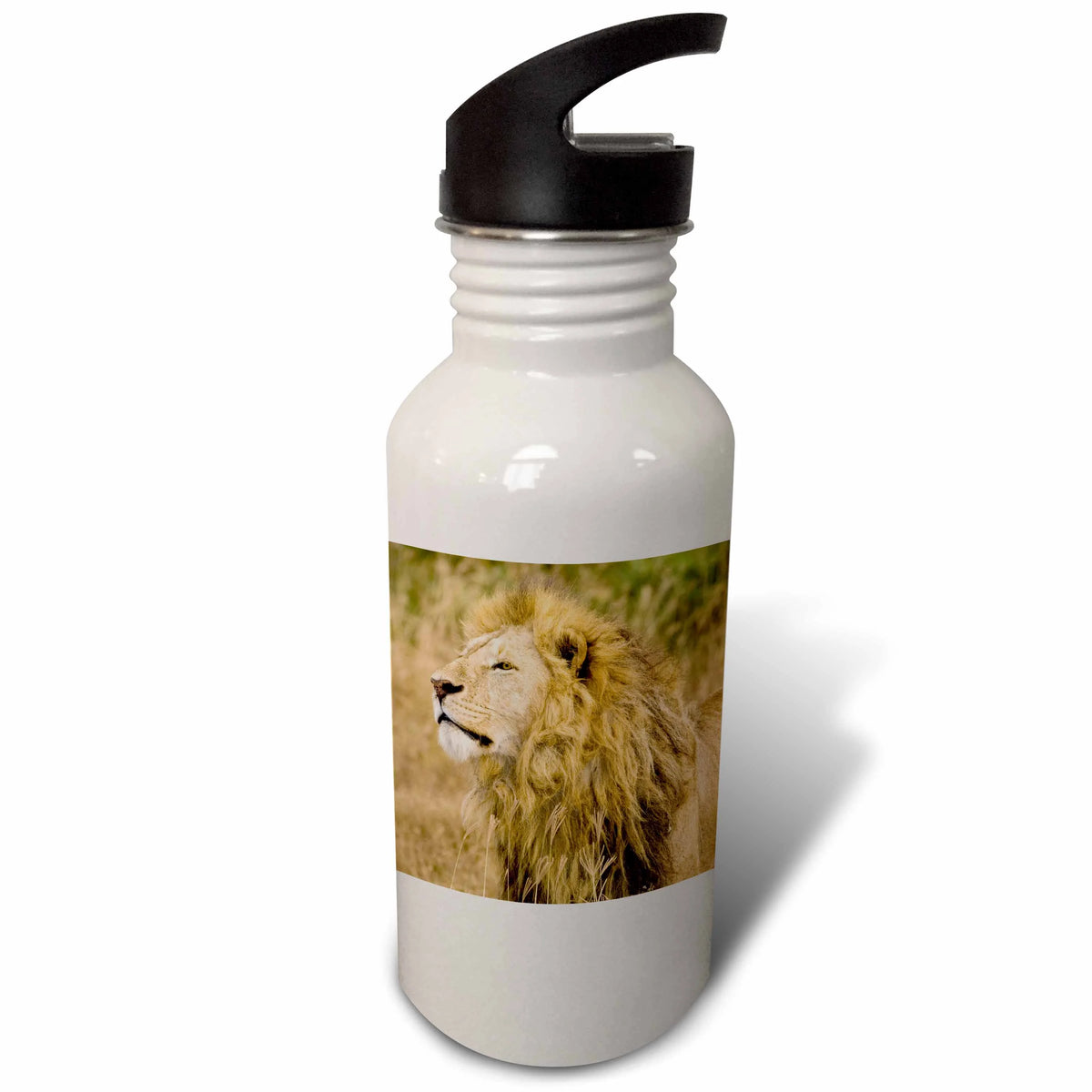21 oz Sports Water Bottle N970