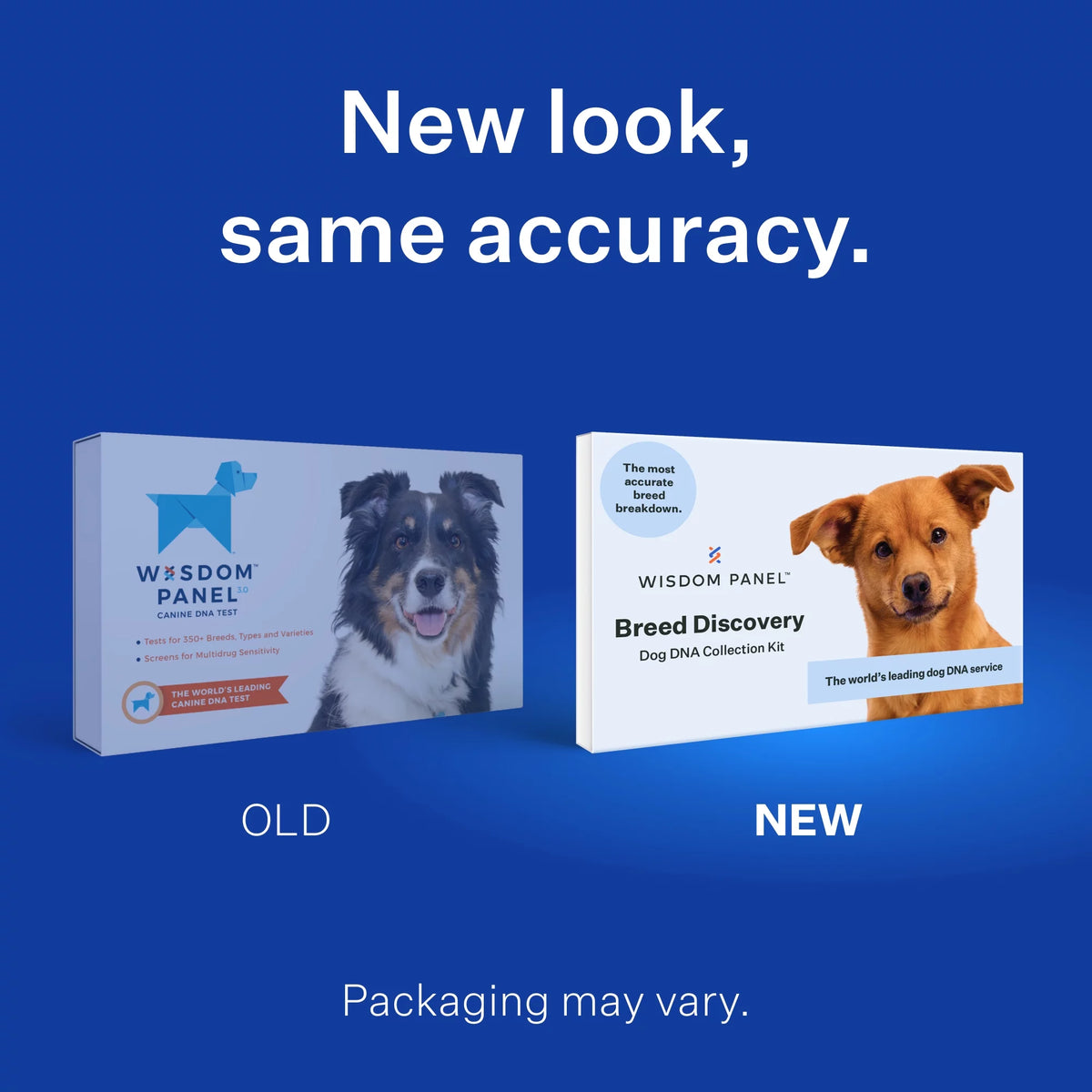 Dog Breed Discovery DNA Test Kit L522978
