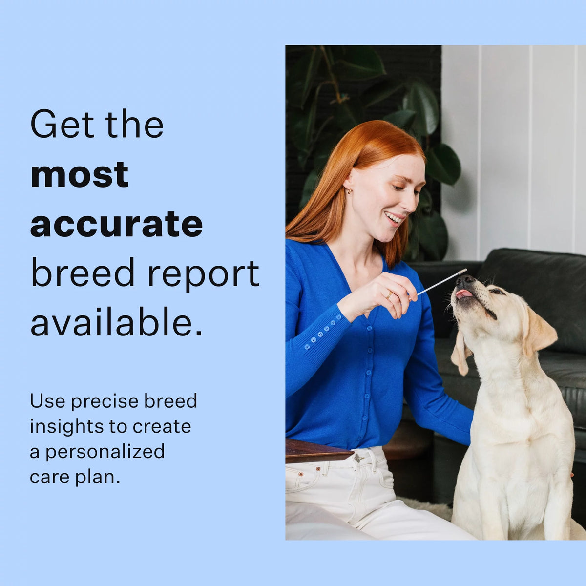 Dog Breed Discovery DNA Test Kit L522978