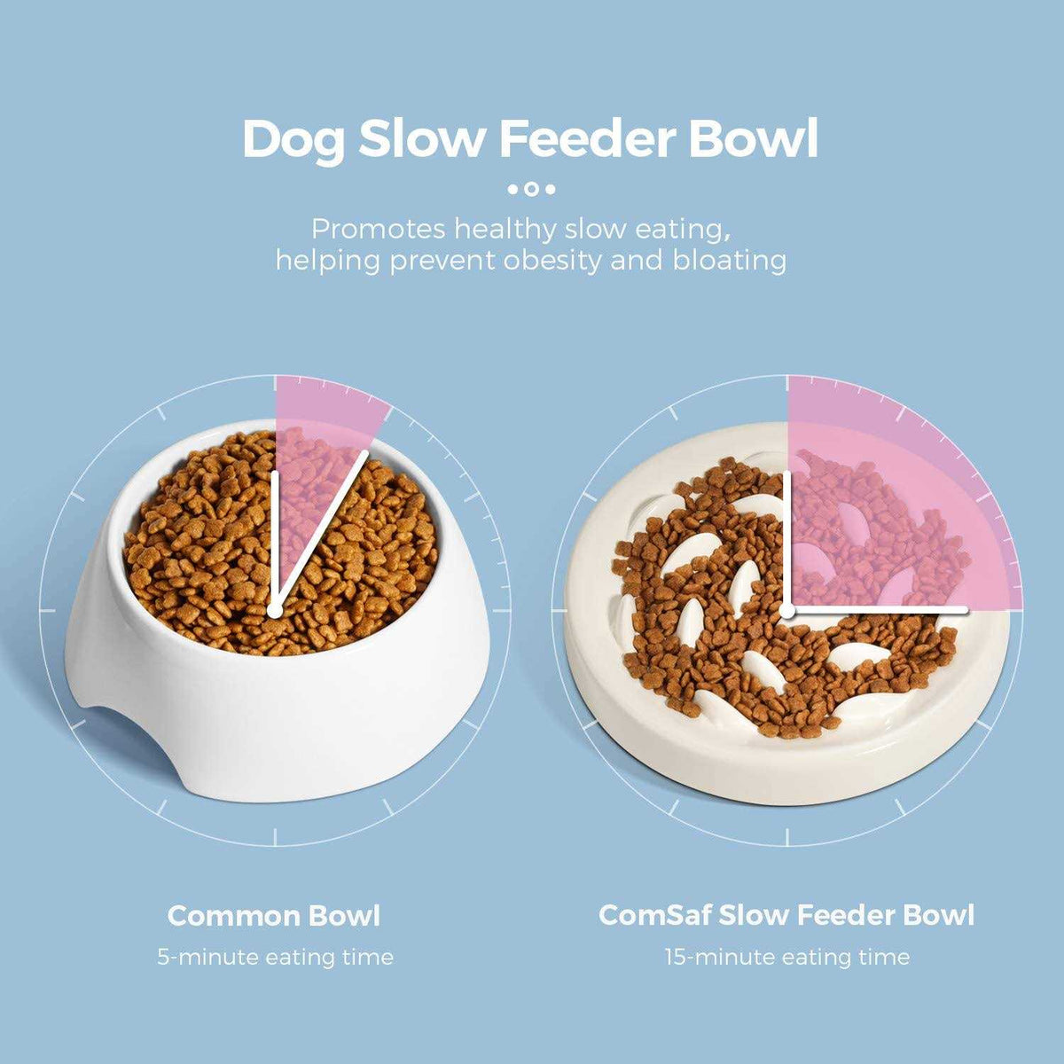 Slow Feeder Bowl for Cats and Small Dogs B17592