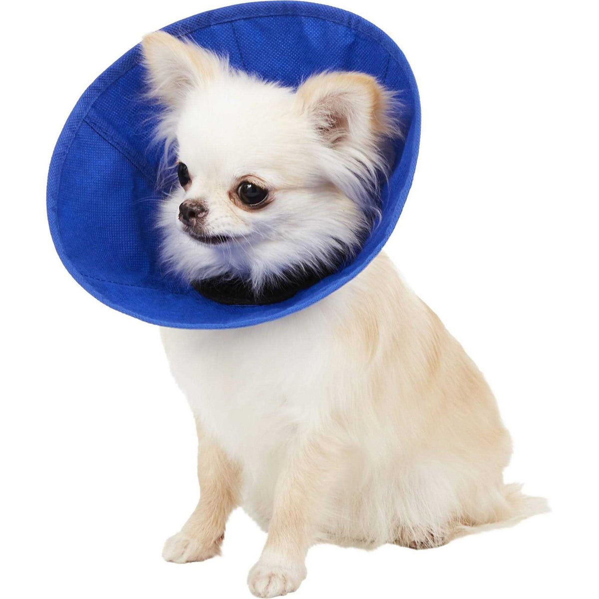 Soft E-Collar B28548