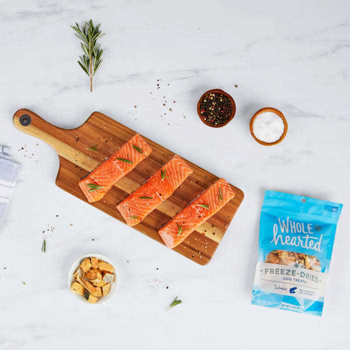 Salmon Freeze Dried Dog Treats H252868