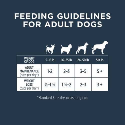 Grain Free Real Beef Recipe Dog Food V815885