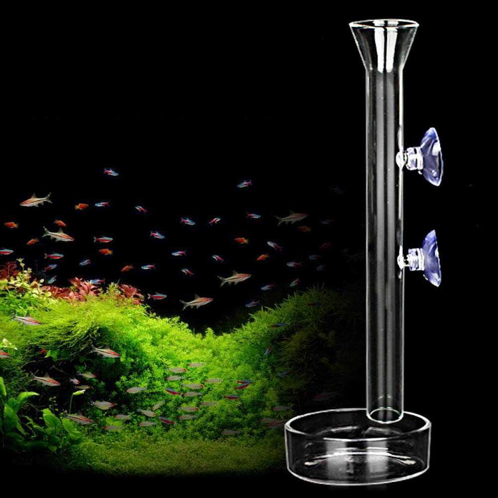 Aquarium Shrimp Feeding Tube and Dish Clear Crystal Glass Feeder Tray W7457