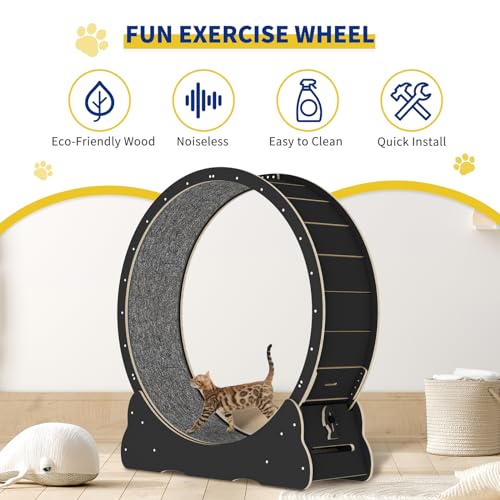 Solid Wood Cat Exercise Wheel with 2 Anti-Scratch Pads K98643