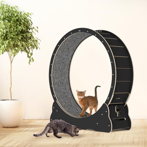 Solid Wood Cat Exercise Wheel with 2 Anti-Scratch Pads K98643