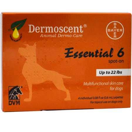 Fish Oil Nutritional Supplements for Small Dogs up to 22 lb W62099