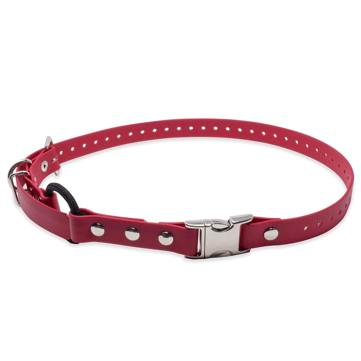 Bungee Collar D140