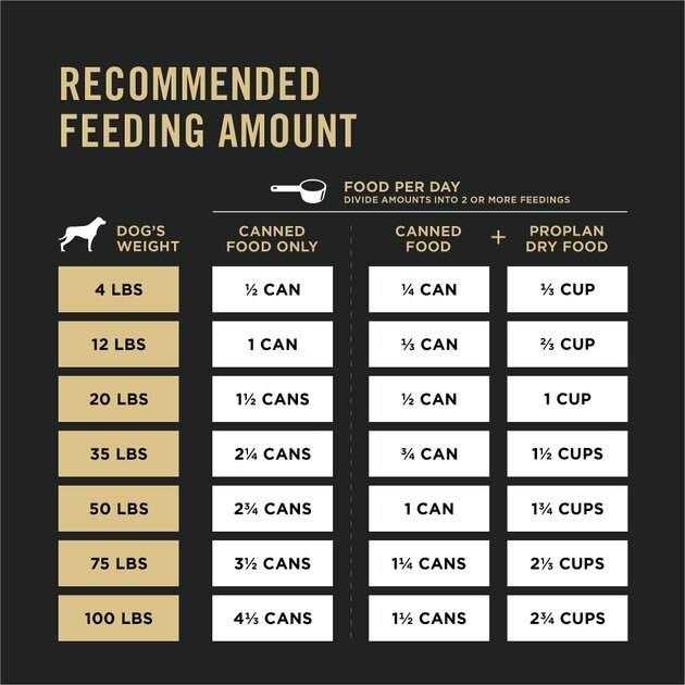 High Protein Wet Dog Food O4089