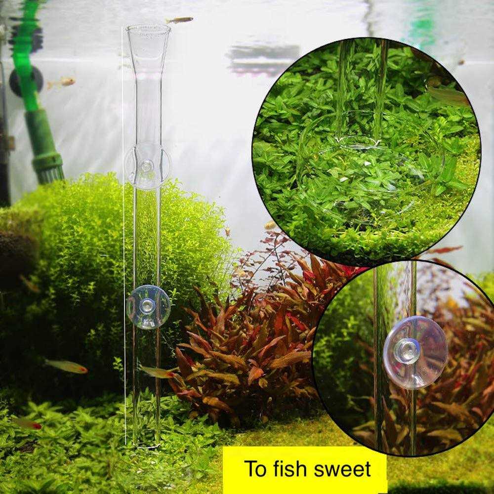 Aquarium Shrimp Feeding Tube and Dish Clear Crystal Glass Feeder Tray W7457