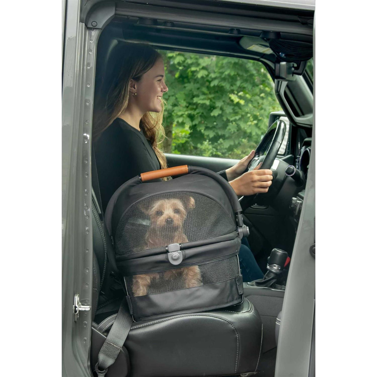 Pet Carrier W107866