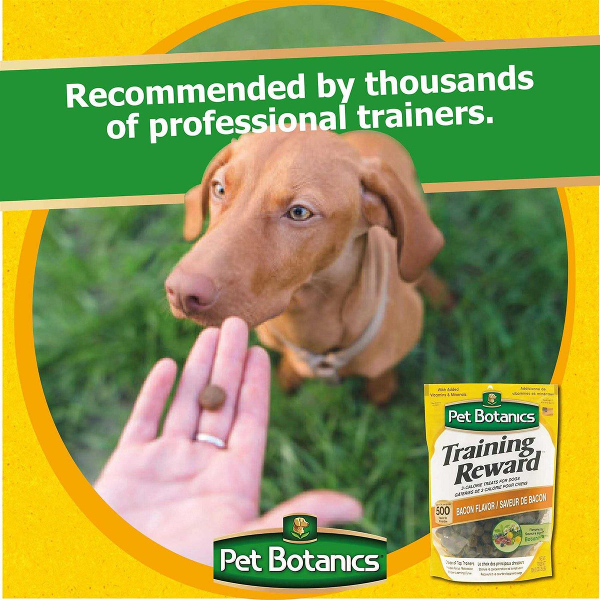 Dog Training Treats Bacon E233965