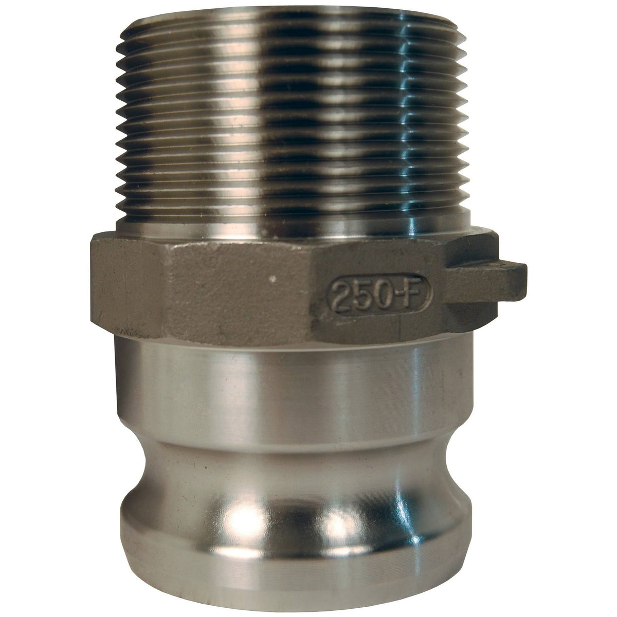 6 inch Stainless Male Adapter x Male NPT Cam and Groove Q1266