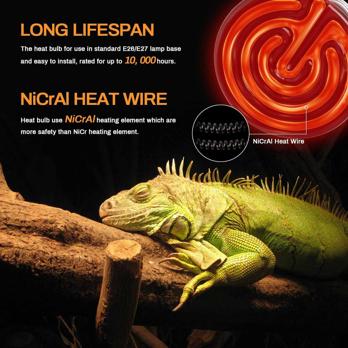 Ceramic Heat Emitter Reptile Heat Lamp with Digital-Thermometer B66718