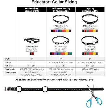 Bungee Collar D140