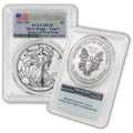 1 oz Silver American Eagle Coin MS-70 Type 1 Z23282