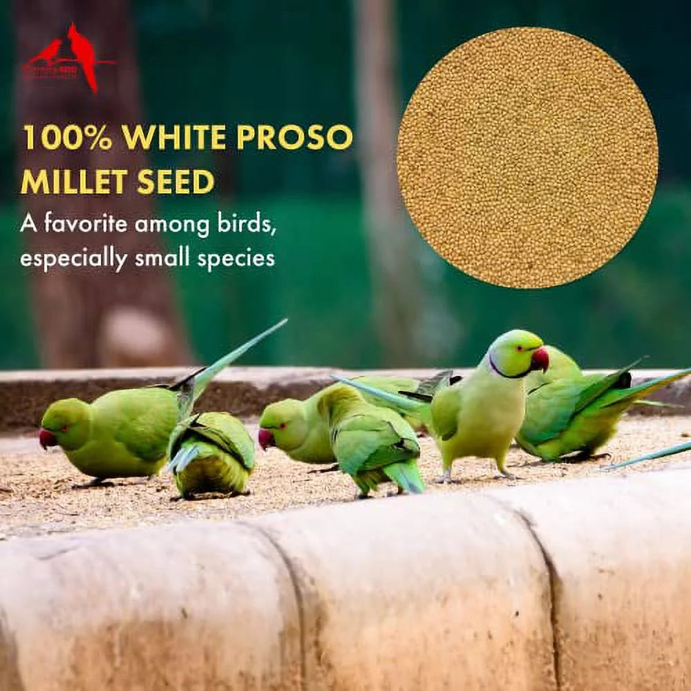 White Proso Millet Bird Seed 4.5 lbs O8551