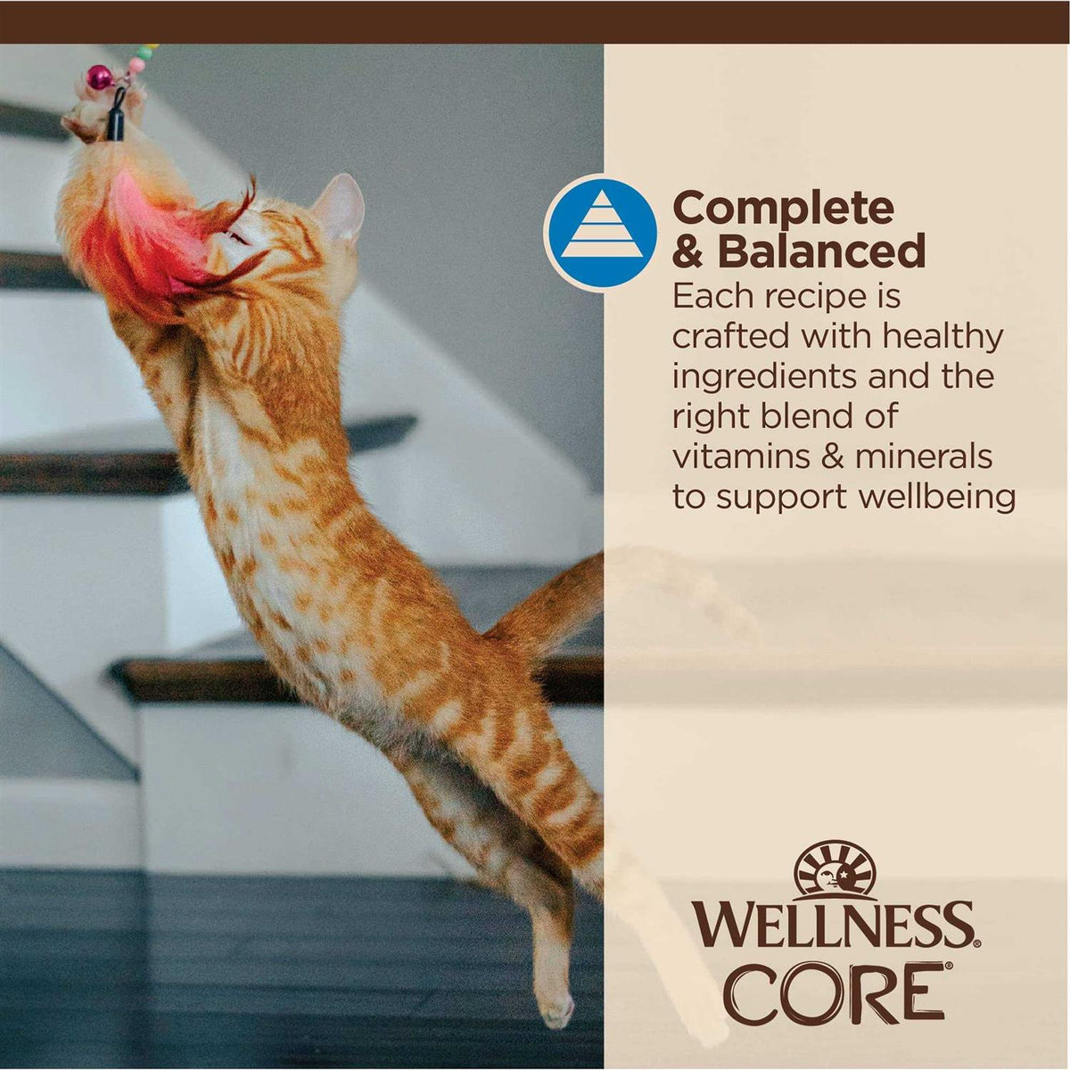Flaked Wet Cat Food C50333
