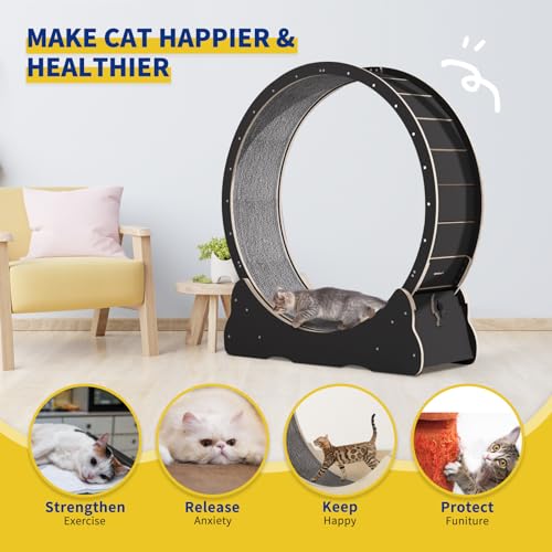 Solid Wood Cat Exercise Wheel with 2 Anti-Scratch Pads K98643