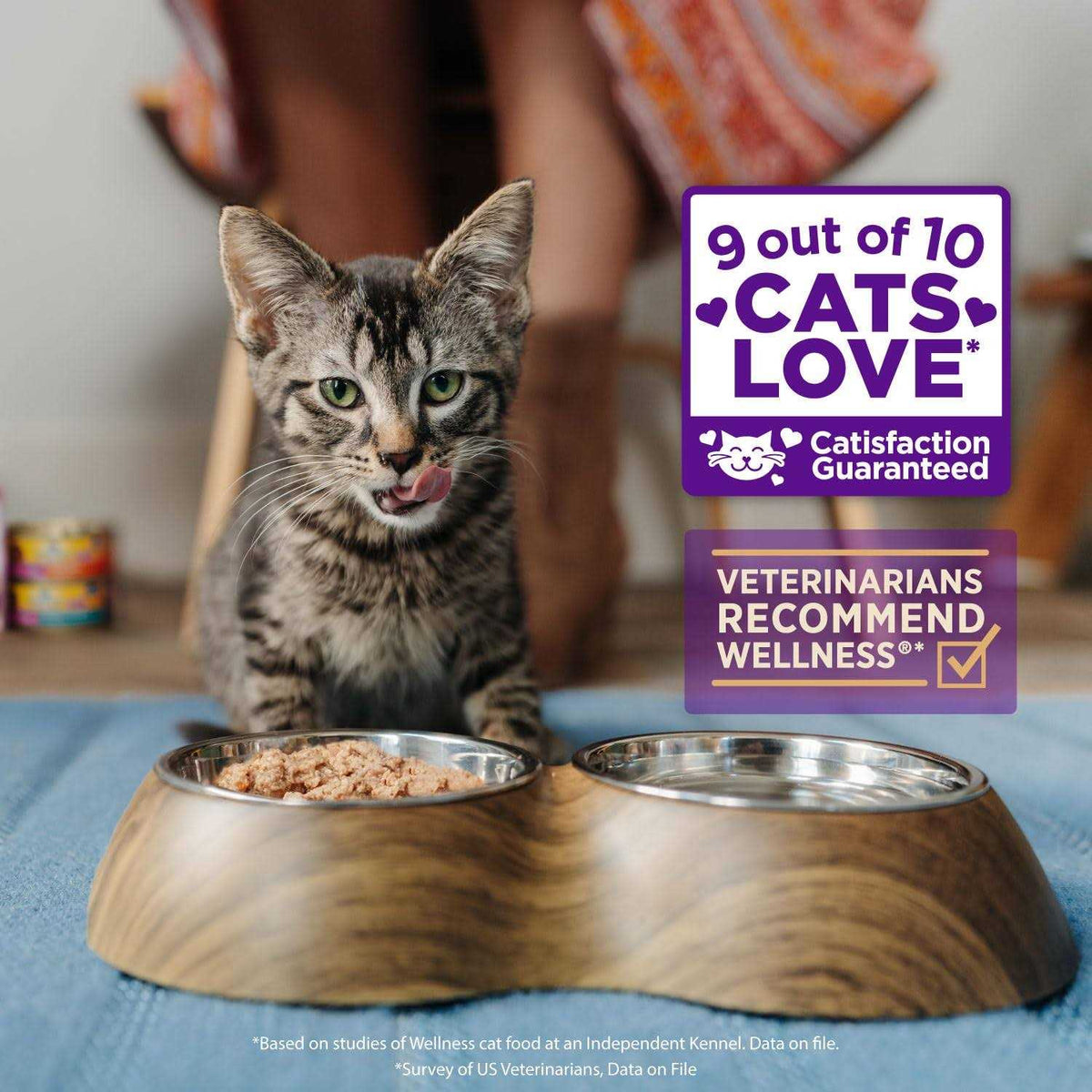 Flaked Wet Cat Food C50333