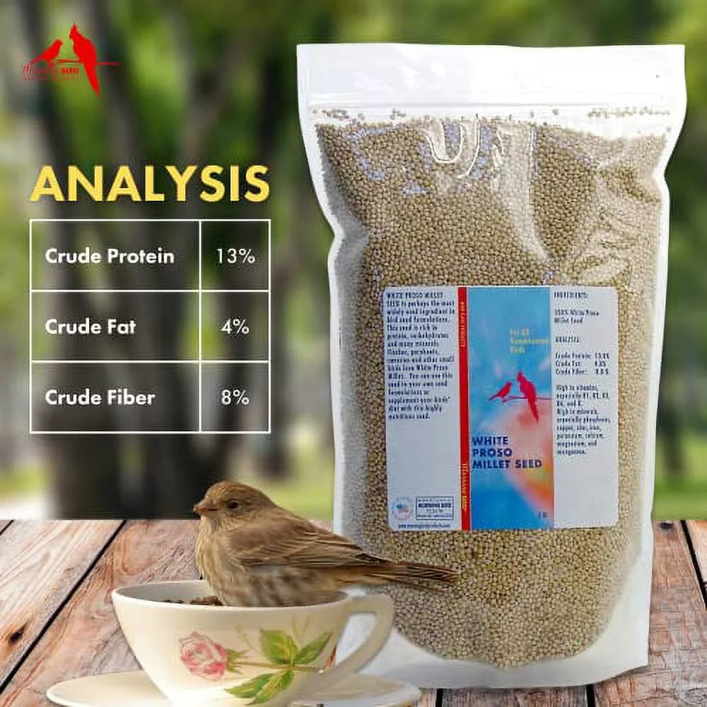 White Proso Millet Bird Seed 4.5 lbs O8551