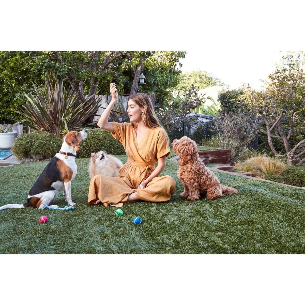 Beef Jerky Dog Treats W817094