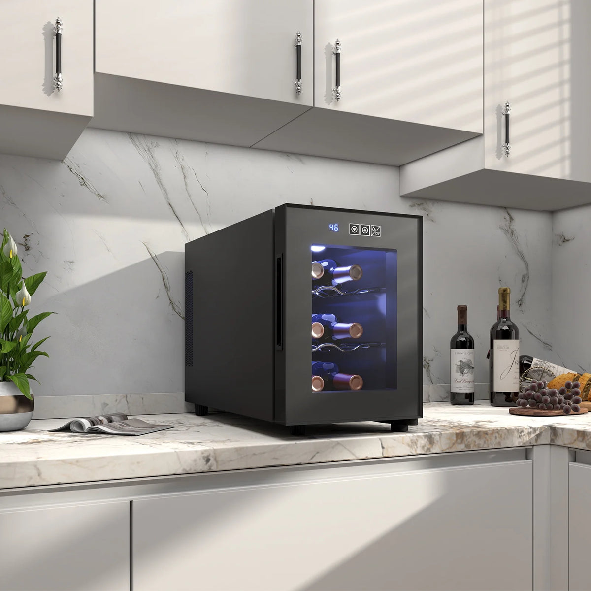 6 Bottle Wine Cooler with Digital Temperature Control R490179