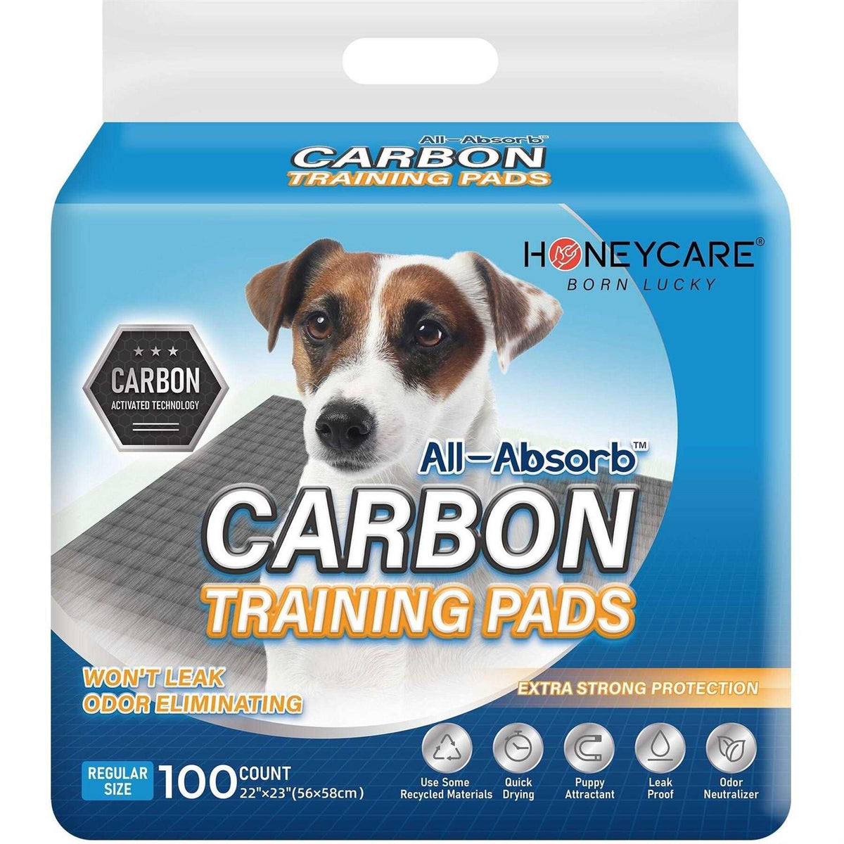 Puppy Training Potty Pads G6276
