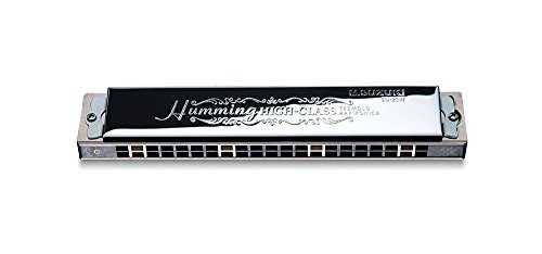 21 Hole Double Sound Harmonica W7283