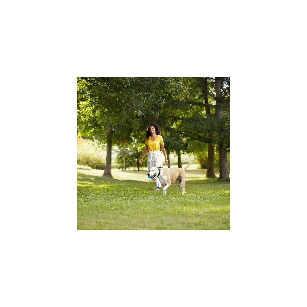 Natural Dry Dog Food with Beef G955