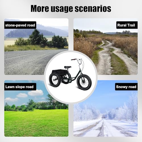 20 Inch 3 Wheeled Fat Tire Drift Trike with Double Disc Brake U14168