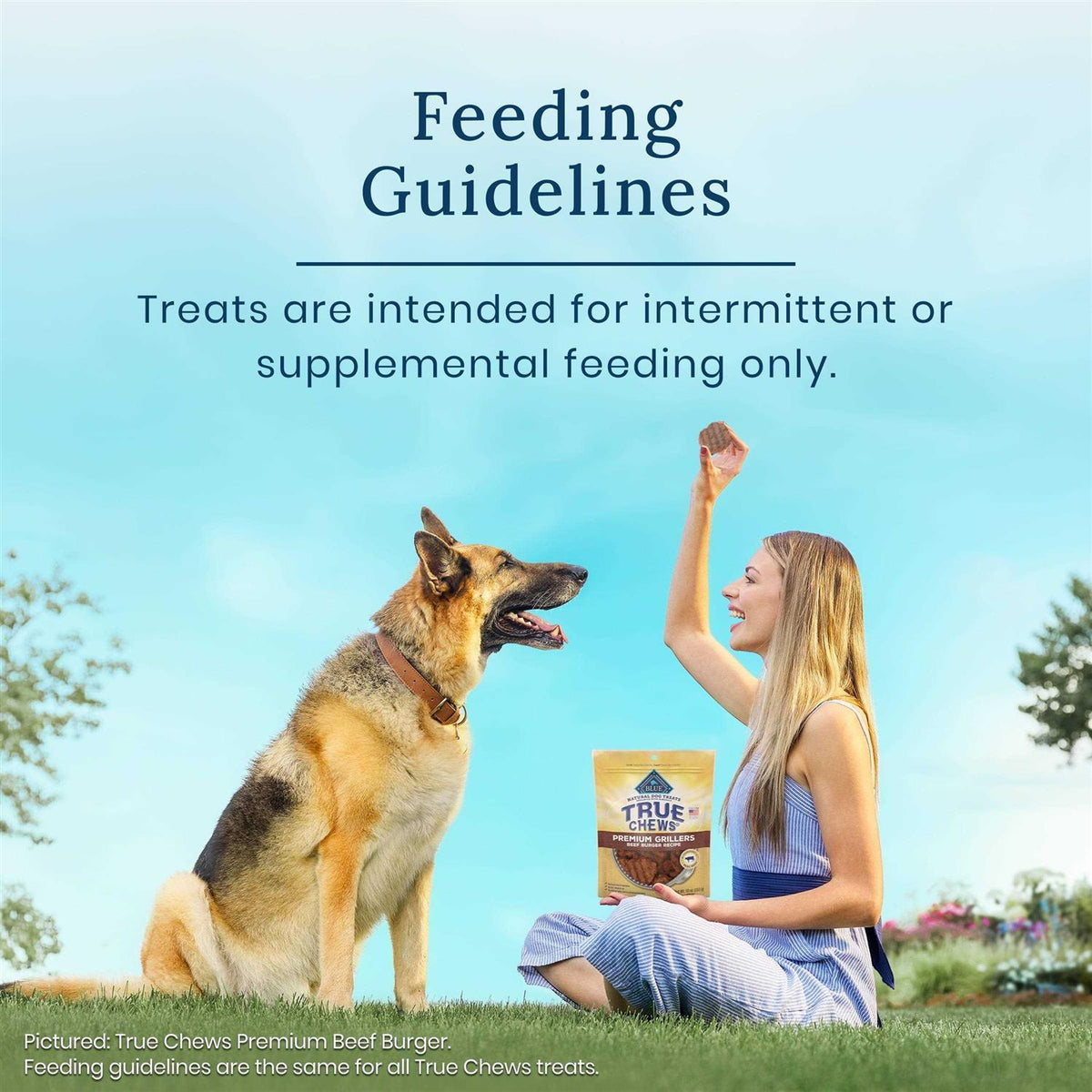 Chicken Dog Treats Z59782