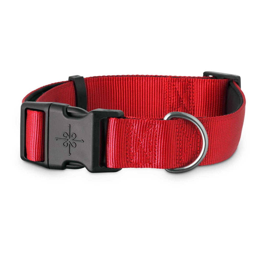 Neoprene Padded Dog Collar I490834