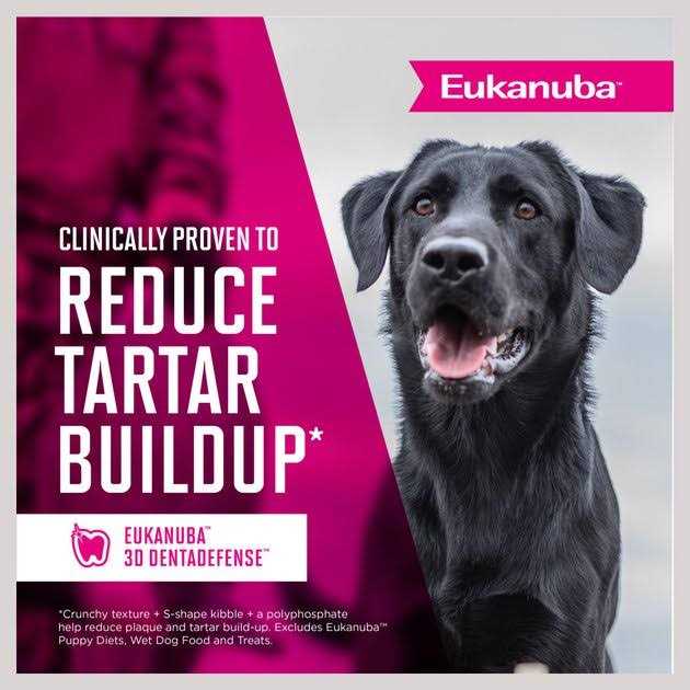Adult Small Bites Dry Dog Food O6094
