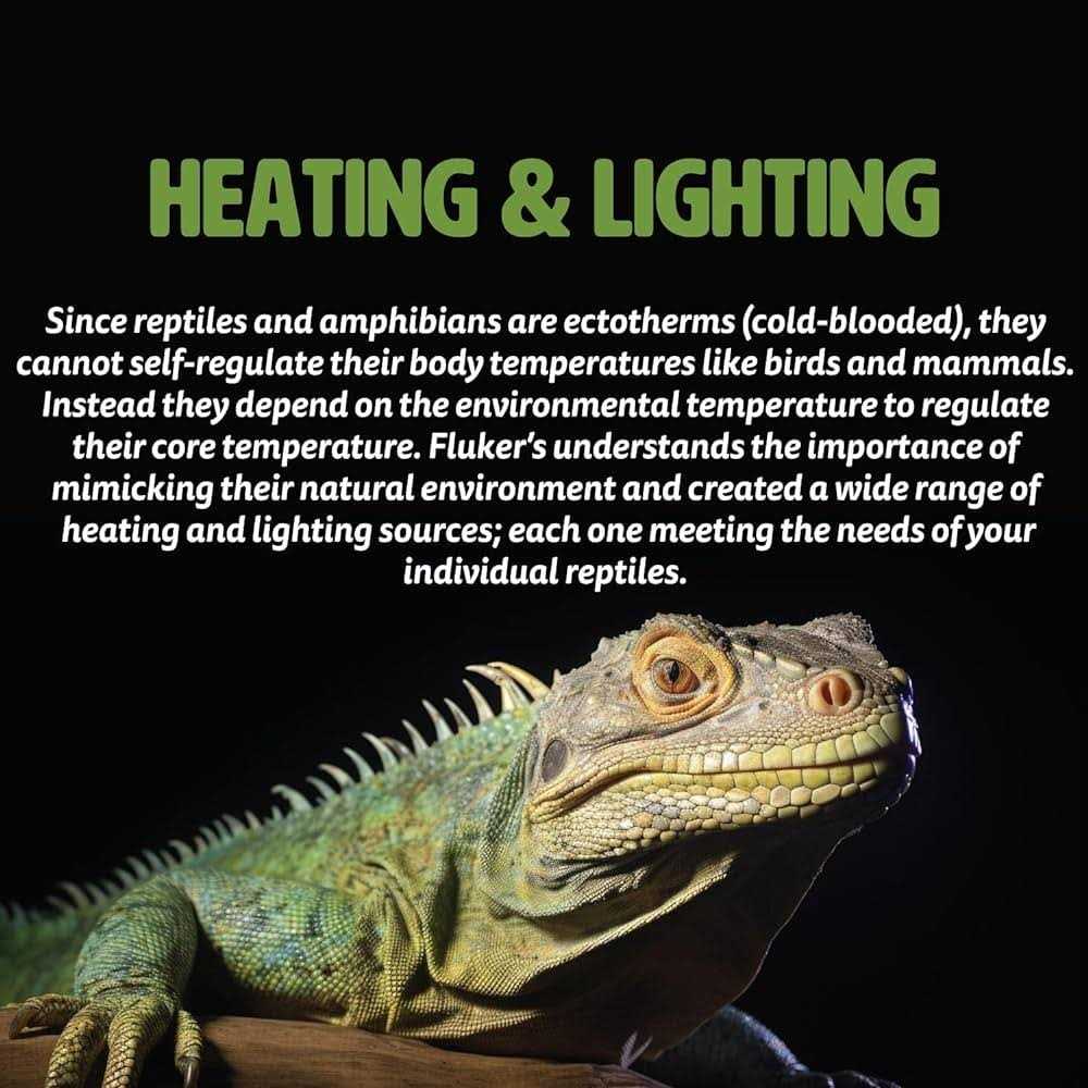 Deep Thermal Heat Lamp for Reptiles D54876