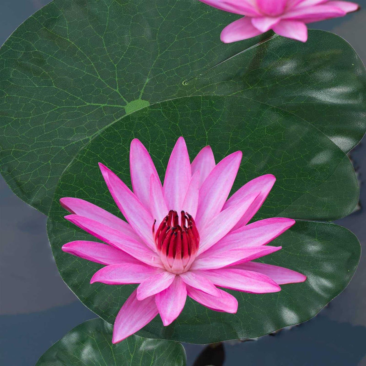 Artificial Lotus Leaves Lily Pads Floating Foam T210490