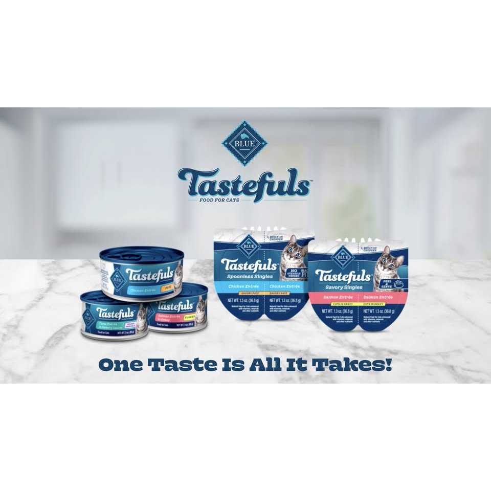Wet Cat Food O259203