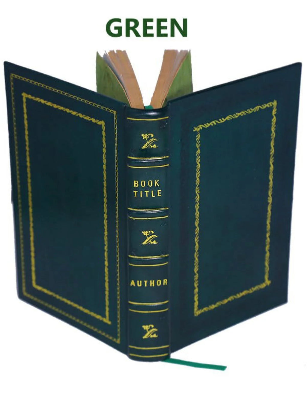 Premium Leather Bound Old Norse Introduction R658