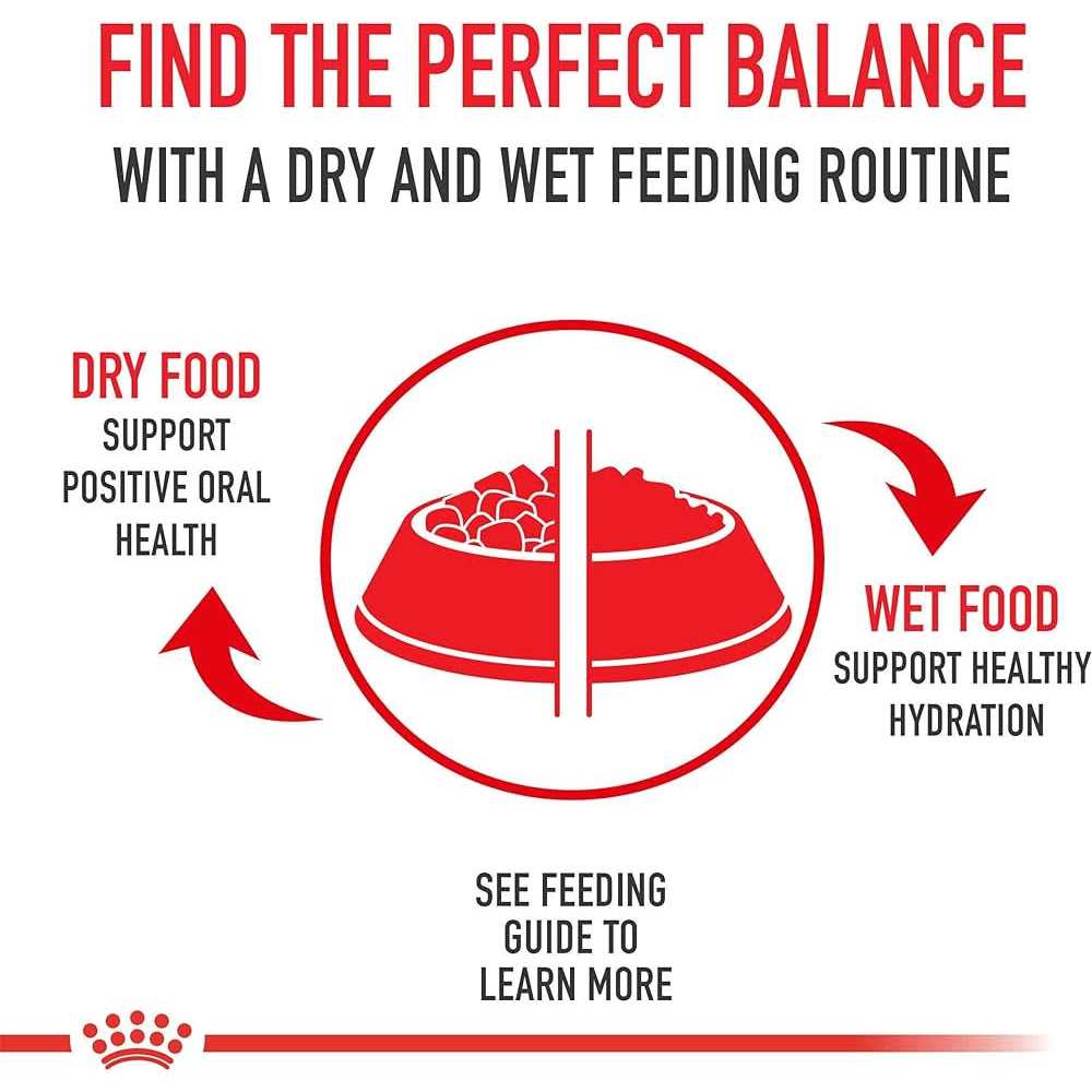 Medium Puppy Dry Dog Food N528